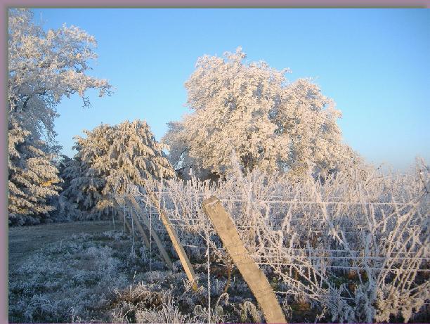 Cliquer pour l\'image originale