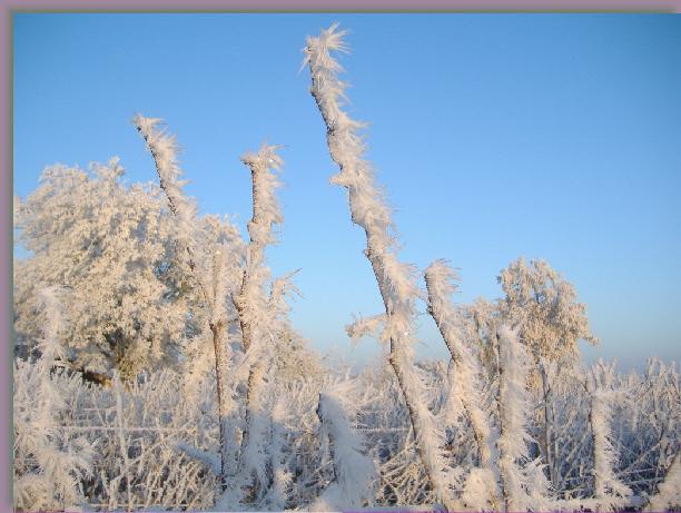 Cliquer pour l\'image originale