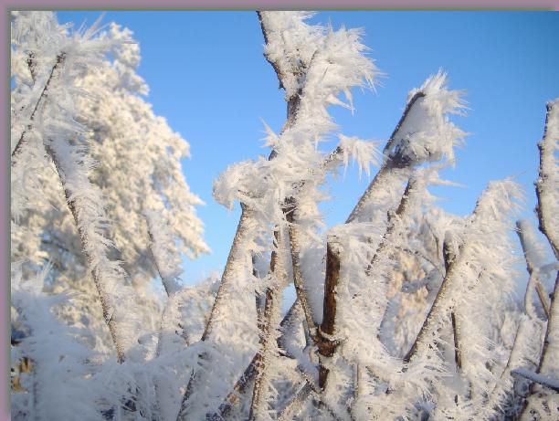 Cliquer pour l\'image originale