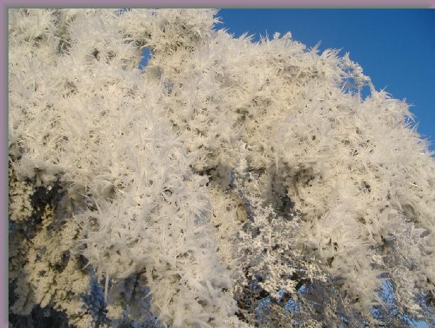 Cliquer pour l\'image originale