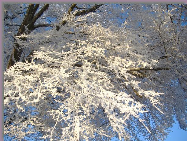 Cliquer pour l\'image originale