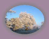 noelmaupas02 * 1024 x 768 * (274KB)