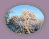 noelmaupas03 * 1024 x 768 * (314KB)