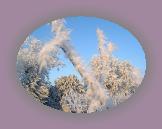 noelmaupas04 * 1024 x 768 * (235KB)