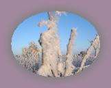 noelmaupas05 * 1024 x 768 * (160KB)