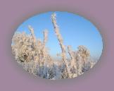 noelmaupas06 * 1024 x 768 * (209KB)