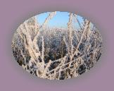 noelmaupas07 * 1024 x 768 * (322KB)