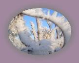 noelmaupas09 * 1024 x 768 * (142KB)