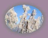 noelmaupas10 * 1024 x 768 * (219KB)