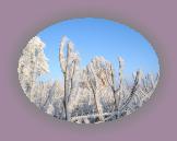 noelmaupas11 * 1024 x 768 * (220KB)