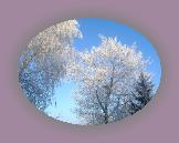 noelmaupas14 * 1024 x 768 * (366KB)