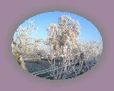 noelmaupas15 * 1024 x 768 * (329KB)