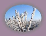 noelmaupas17 * 1024 x 768 * (255KB)