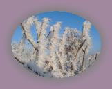 noelmaupas19 * 1024 x 768 * (228KB)