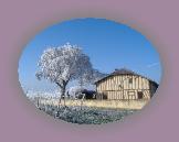 noelmaupas21 * 1024 x 768 * (241KB)