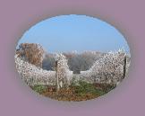 noelmaupas23 * 1024 x 768 * (233KB)