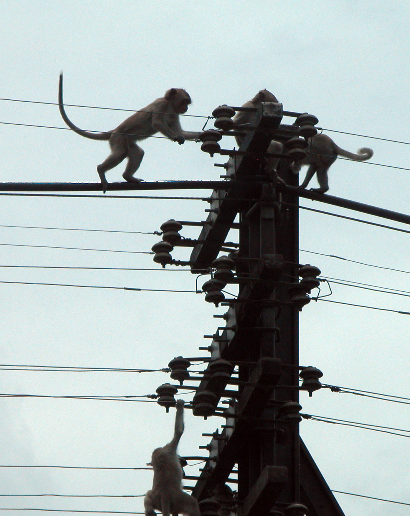 Diapositive suivante